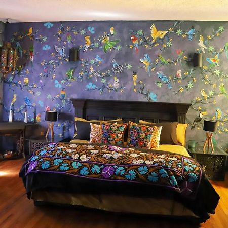 Boutique Hotel And Gallery In San Angel Inn Mexico City Ngoại thất bức ảnh