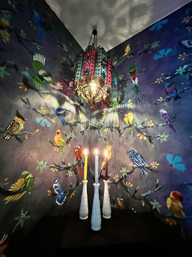 Boutique Hotel And Gallery In San Angel Inn Mexico City Ngoại thất bức ảnh